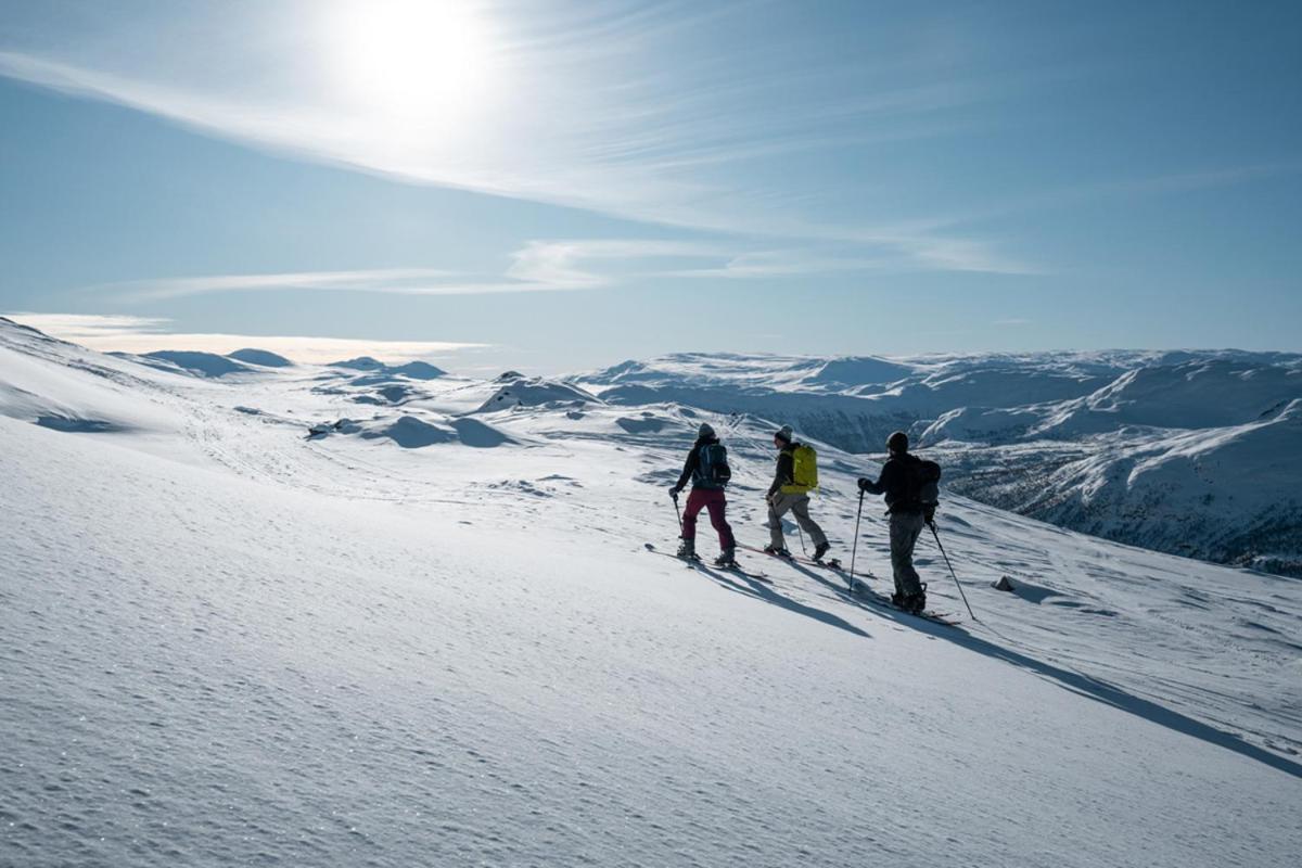 Отель Harahorn Fjellgard Grondalen  Экстерьер фото